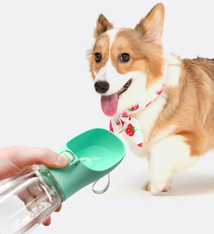 Portable Dual-purpose Pet Water Bottle with Food Dispencer