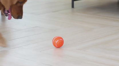 智能電動寵物玩具球